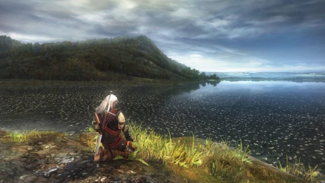The Witcher The Witcher