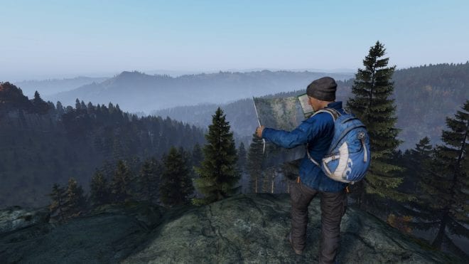 DayZ DayZ