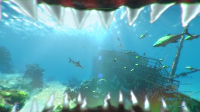 Shark Attack Shark Attack