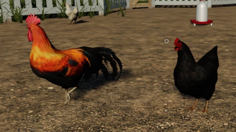 Farming Simulator 19 - Разведение Кур И Овец