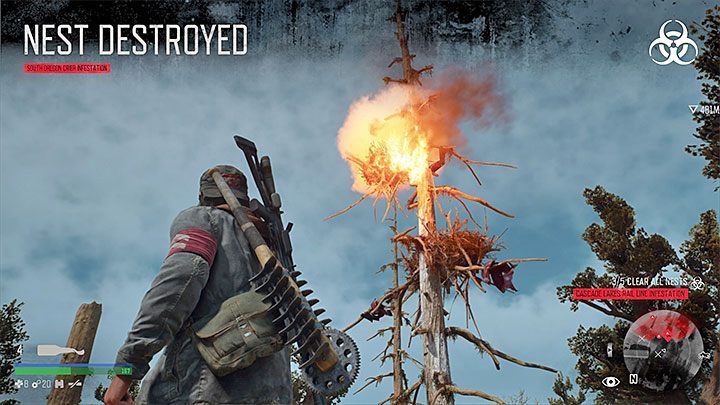 The second version of nests, used by mutated birds, appear in the southern part of the map - Trophies of Days Gone - Trophies and achievement - Days Gone Guide