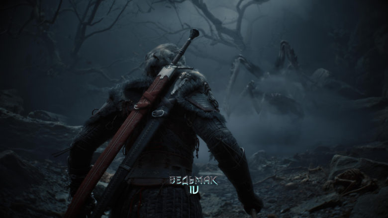 The Witcher IV (202?)