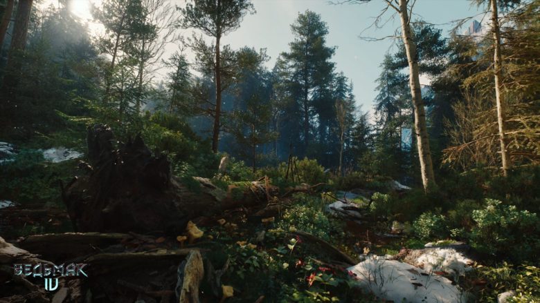 The Witcher IV (202?)