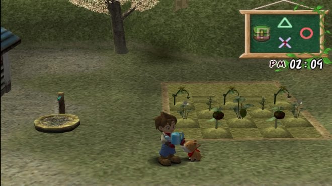 Harvest Moon