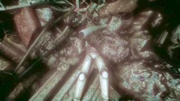 Theres a corpse lying on the route, which can be used for Data Buffer. - Tau station | Collectibles in SOMA Game - Collectibles - SOMA Guide