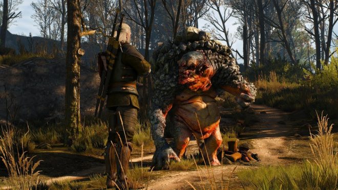 The Witcher 3 The Witcher 3
