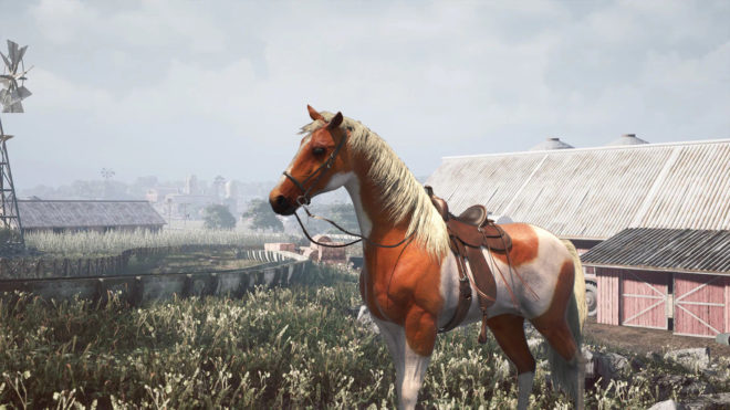 Horse Shelter 2022 Horse Shelter 2022
