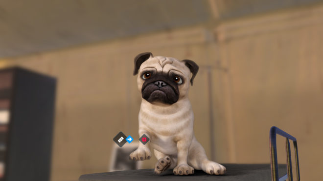 Animal Rescue Animal Rescue