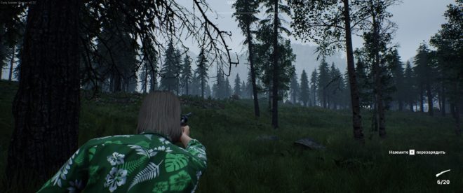 Ranch Simulator