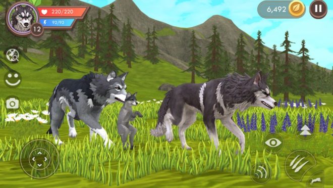 WildCraft WildCraft