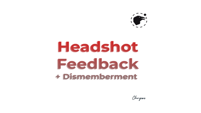 Headshot Feedback Headshot Feedback