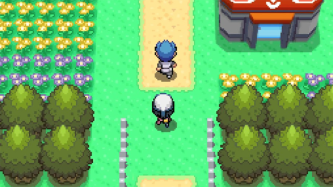 Pokémon: Diamond and Pearl Pokémon: Diamond and Pearl