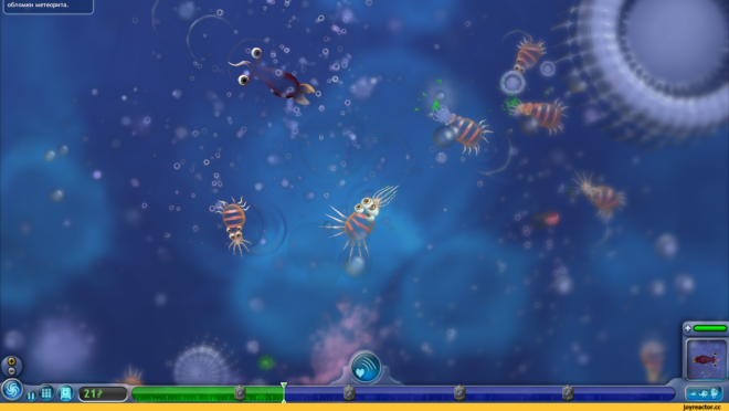 Spore Spore