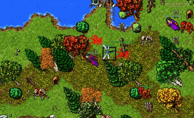 Tibia