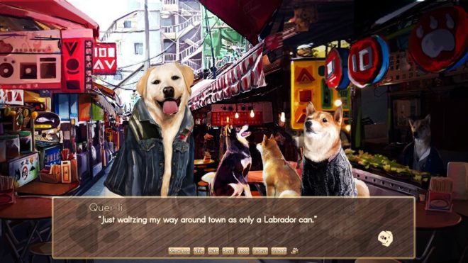 A Summer with the Shiba Inu A Summer with the Shiba Inu