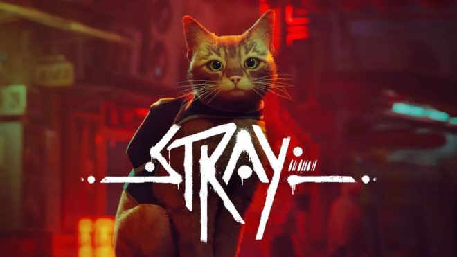 Stray Stray