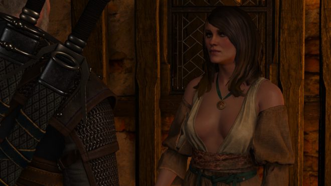 The Witcher 3 The Witcher 3