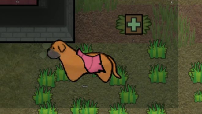 ANDH - Animals Nuzzling Detects Horrors