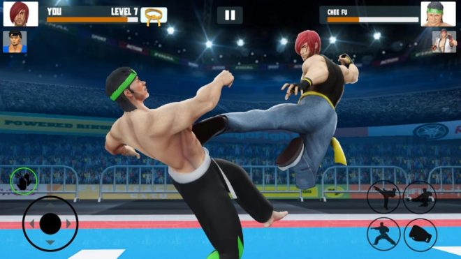 Karate Fighter Karate Fighter