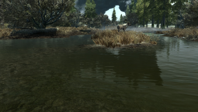 Pure Waters