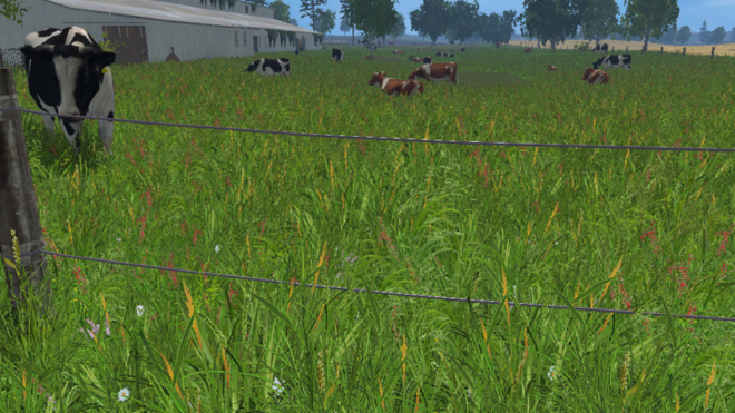 New Grass Texture New Grass Texture