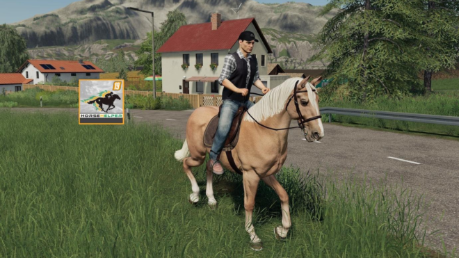 Horse Helpers Horse Helpers