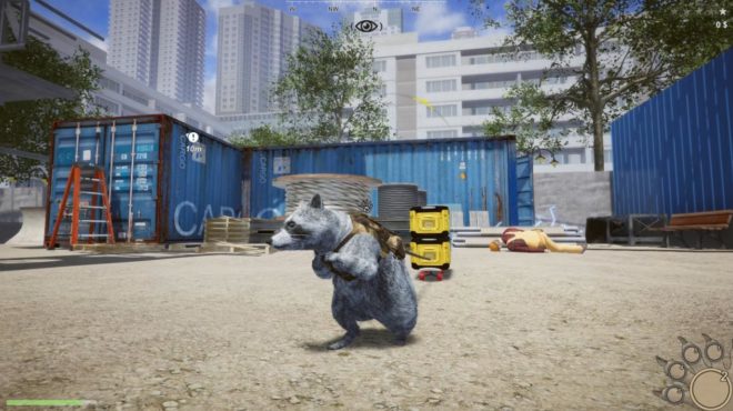 Wanted Raccoon Wanted Raccoon