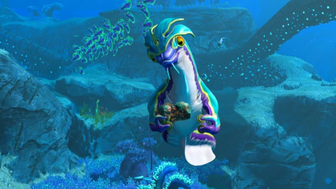 No Shiny For You No Shiny For You