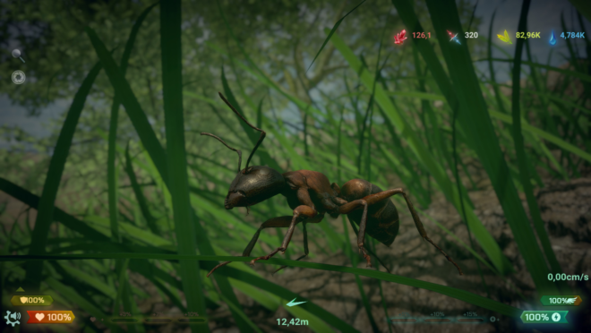 Insect Worlds Insect Worlds