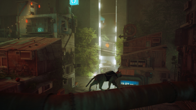 Stray Stray