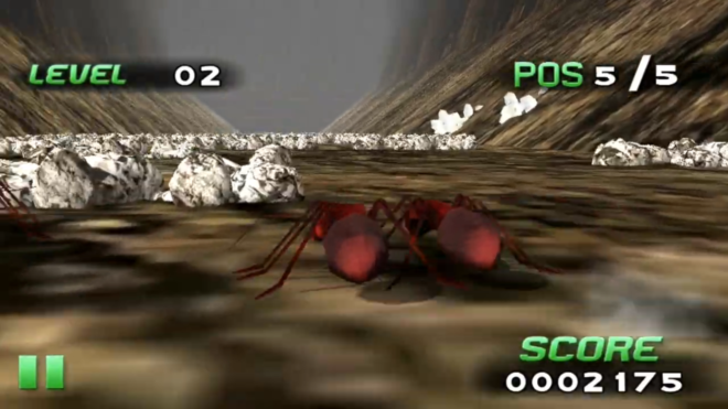 Insect Race Insect Race