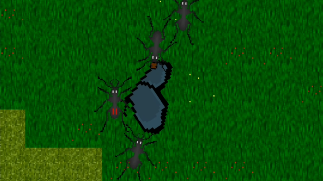 Ant Evolution Ant Evolution
