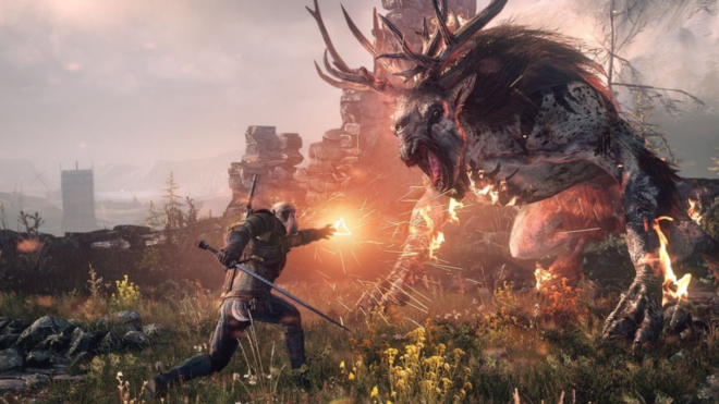 The Witcher The Witcher