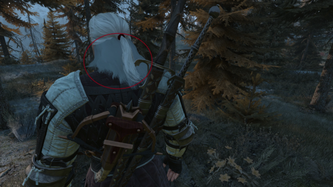 Disable Hairworks on Geralt Disable Hairworks on Geralt