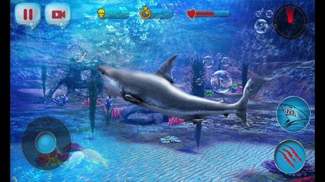 Angry Shark 2016 Angry Shark 2016