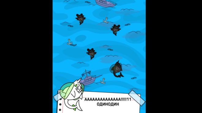 Shark Evolution Shark Evolution
