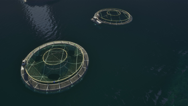 Ships At Sea Ships At Sea