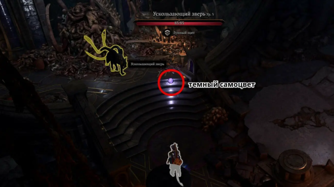 Темный самоцвет Юргира в Baldur's Gate 3 Темный самоцвет Юргира в Baldur's Gate 3