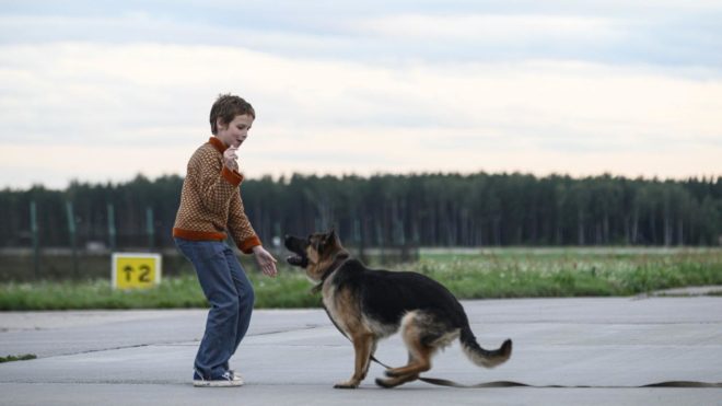 «Пальма» (2020) «Пальма» (2020)
