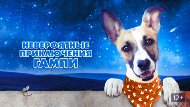 «Невероятные приключения Гампи» (2021) «Невероятные приключения Гампи» (2021)