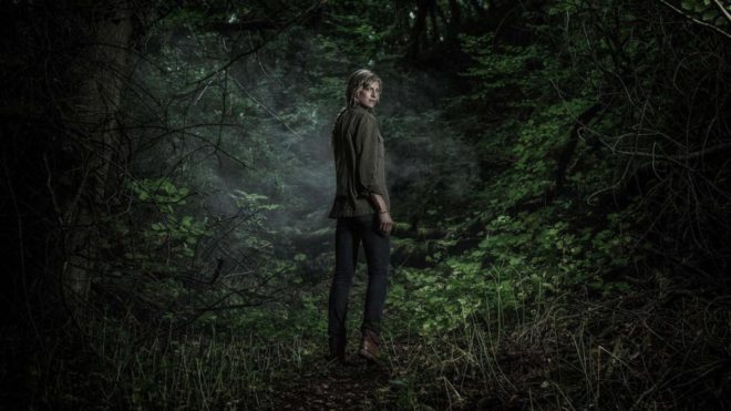 «Лес» (2017) «Лес» (2017)
