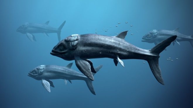 Морские динозавры 3D: Путешествие в доисторический мир (2010) Морские динозавры 3D: Путешествие в доисторический мир (2010)