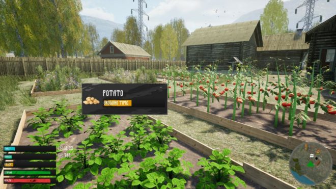 Симулятор русской деревни Симулятор русской деревни