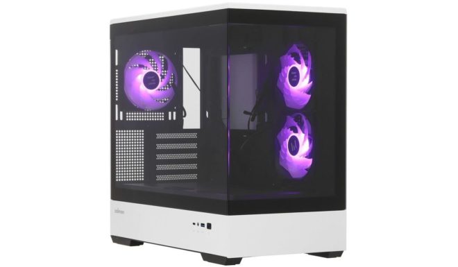 Zalman P30 Zalman P30