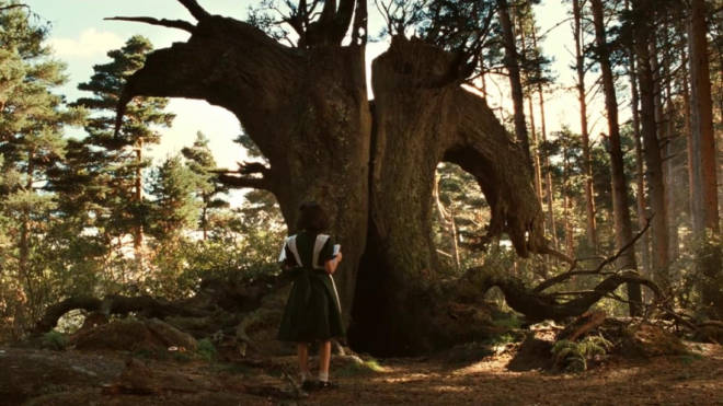Лабиринт Фавна (2006) Лабиринт Фавна (2006)