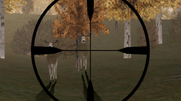 Серия игр Deer Hunter