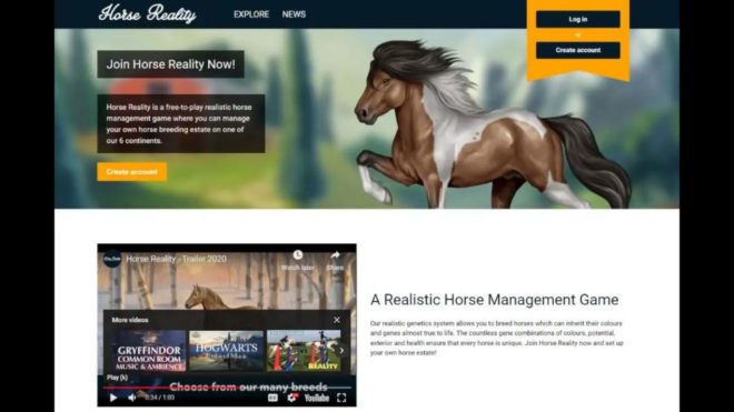 Horse Reality Horse Reality