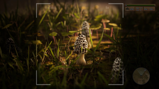 Morels: The Hunt Morels: The Hunt