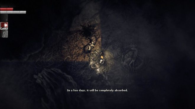 Darkwood Darkwood