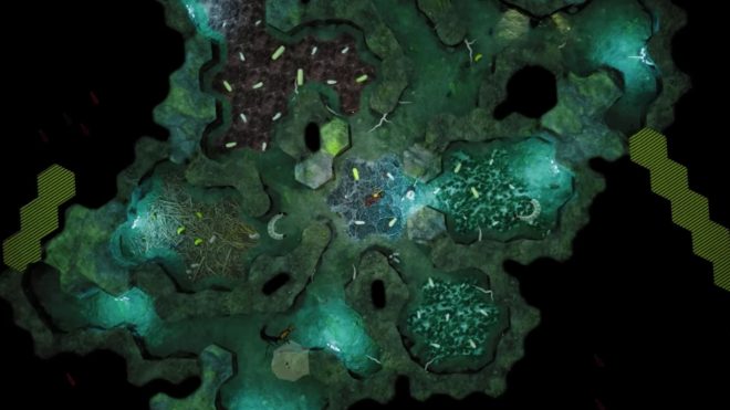 Empires of the Undergrowth